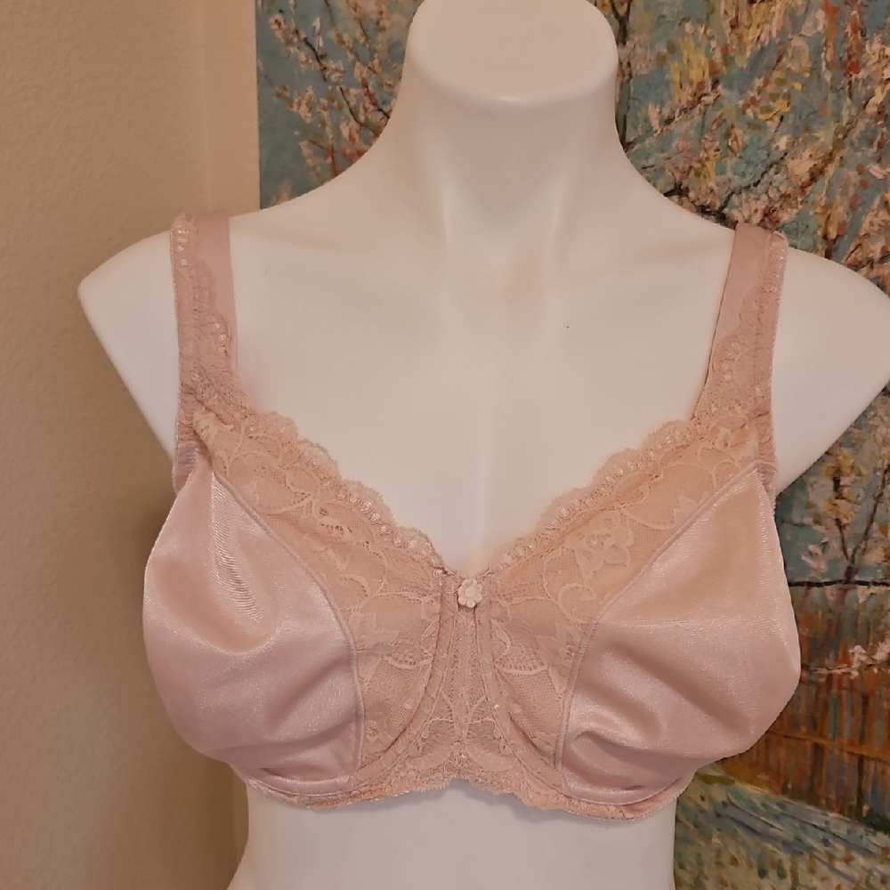 40DD Cabernet Underwire Bra